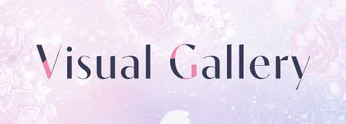 Visual Gallery